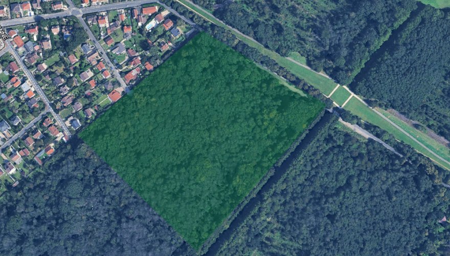 Parcelle concernée par les coupes